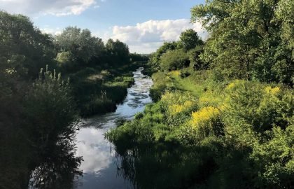 River-Roding-May-2019-3--(c)-Anna-MacLaughlin