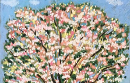 1blossoming-tree