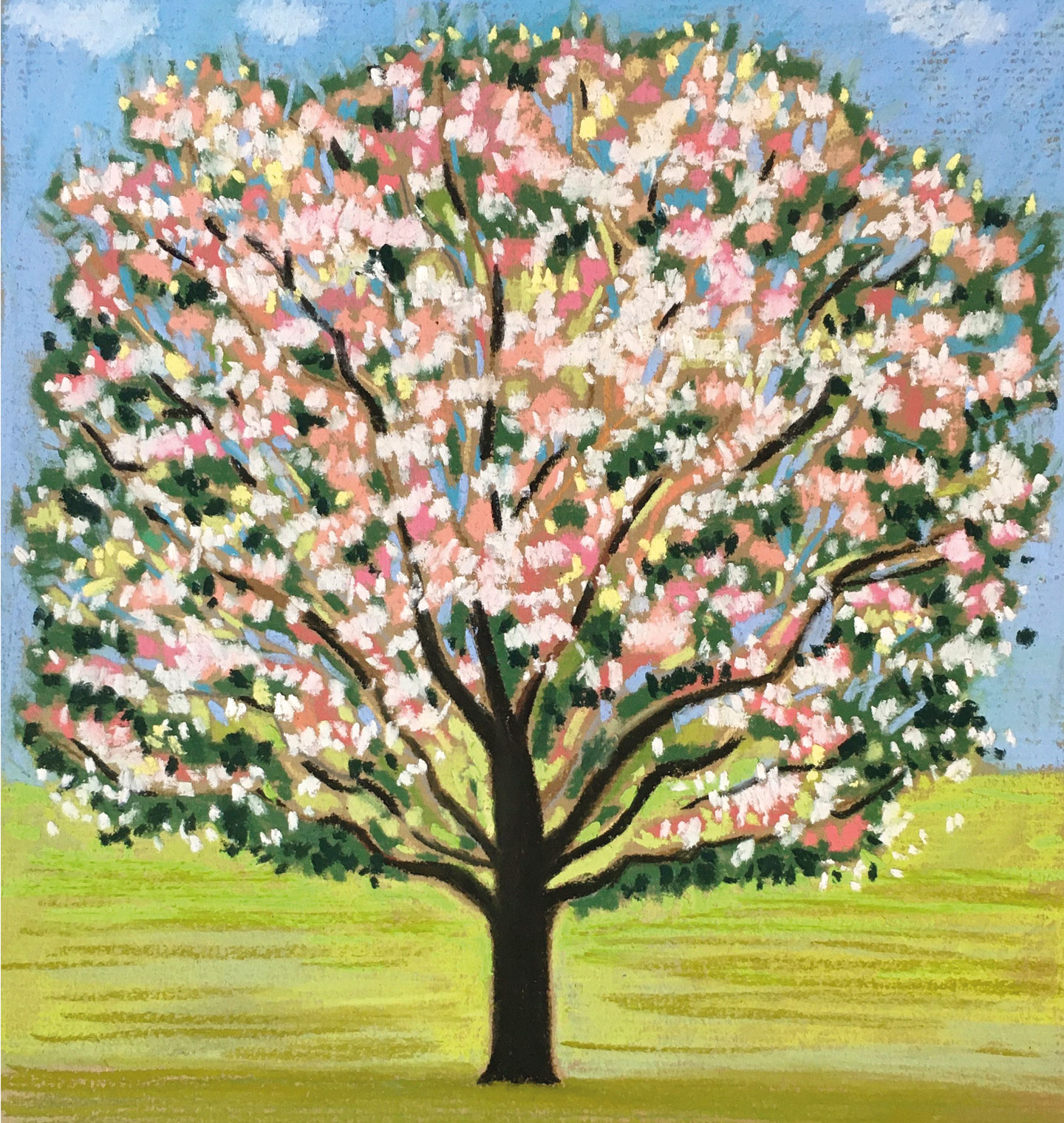 1blossoming-tree