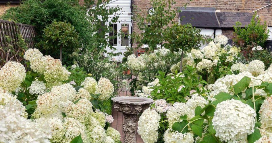 977733f5-37ee-4d85-a2fe-223d585b35a7