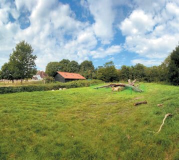 Some large logs have been placed on the site behind the Temple in readiness for the project