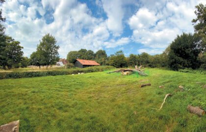 Some large logs have been placed on the site behind the Temple in readiness for the project