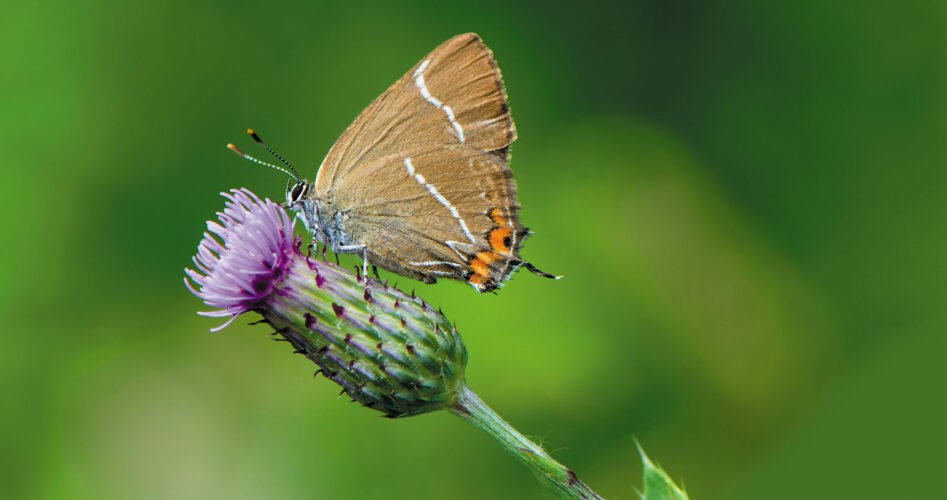 AdobeStock_398545925