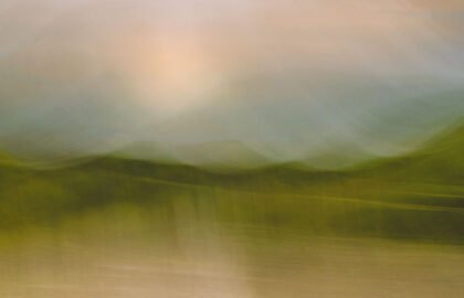 Tranquillity by David Tyrrell