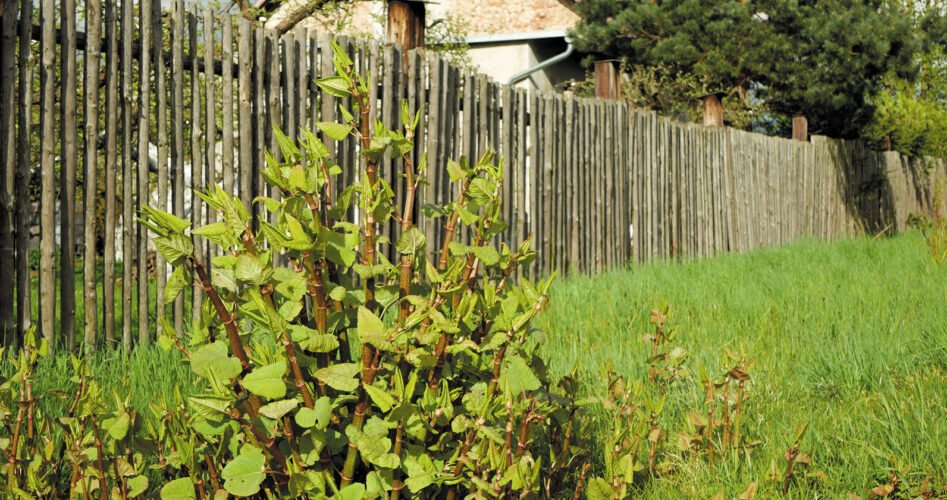 AdobeStock_440428939