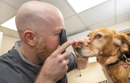 Rusty-has-a-condition-affecting-the-skin-around-his-eye