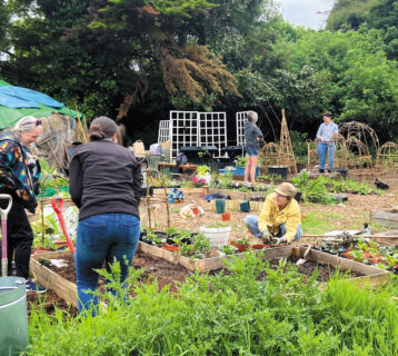 Community-garden,-credit-Woodford-Greeners-(5)