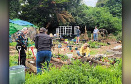 Community-garden,-credit-Woodford-Greeners-(5)