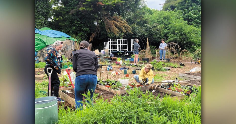 Community-garden,-credit-Woodford-Greeners-(5)