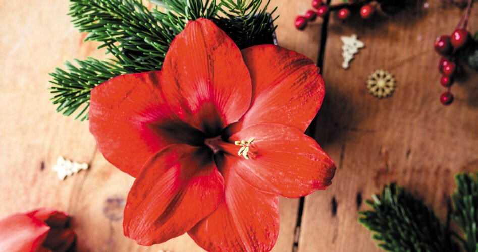 AdobeStock_240862227