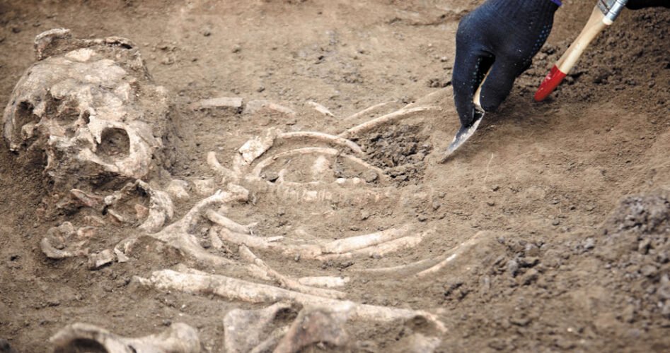 AdobeStock_254168027