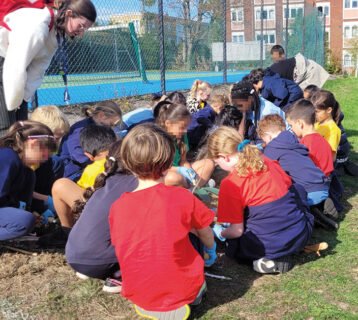 SWVG-NOV-DEC-2025-elm