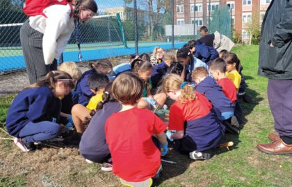 SWVG-NOV-DEC-2025-elm