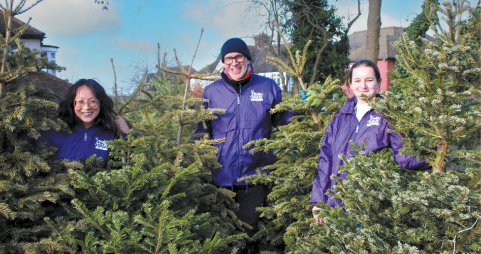 SWVG-JAN-FEB-2026-tree