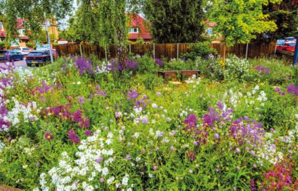 SWVG-MAR-APR-2026.-sowojpg