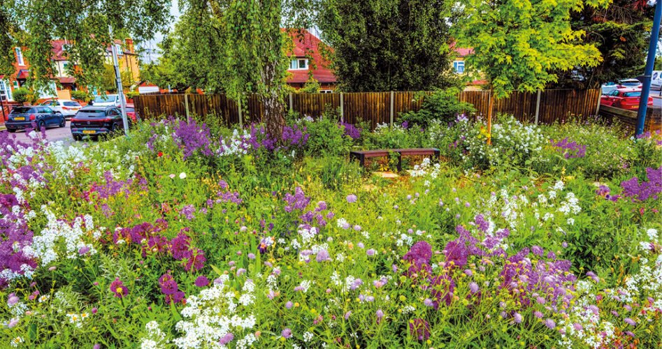 SWVG-MAR-APR-2026.-sowojpg